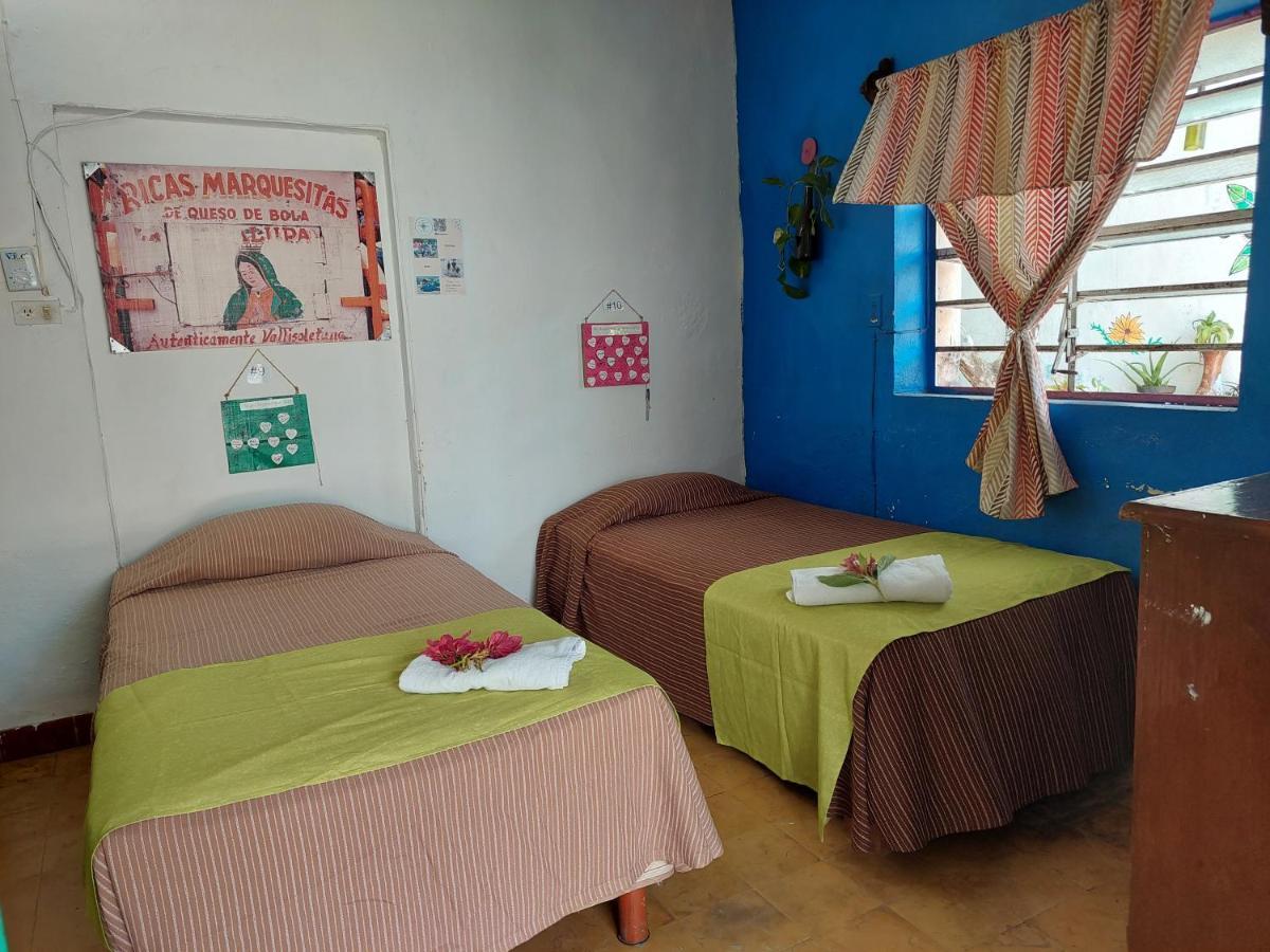 Hostel 35 Вальядолид Экстерьер фото