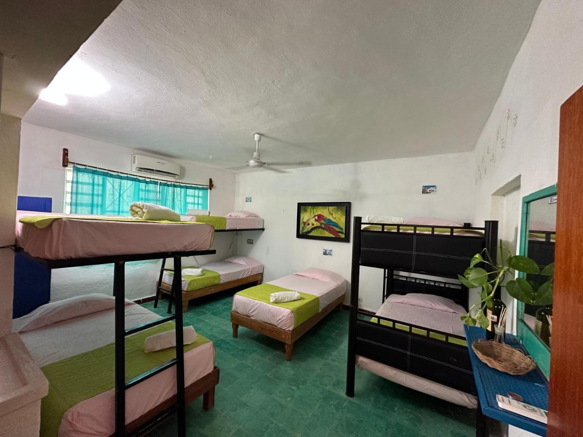 Hostel 35 Вальядолид Экстерьер фото