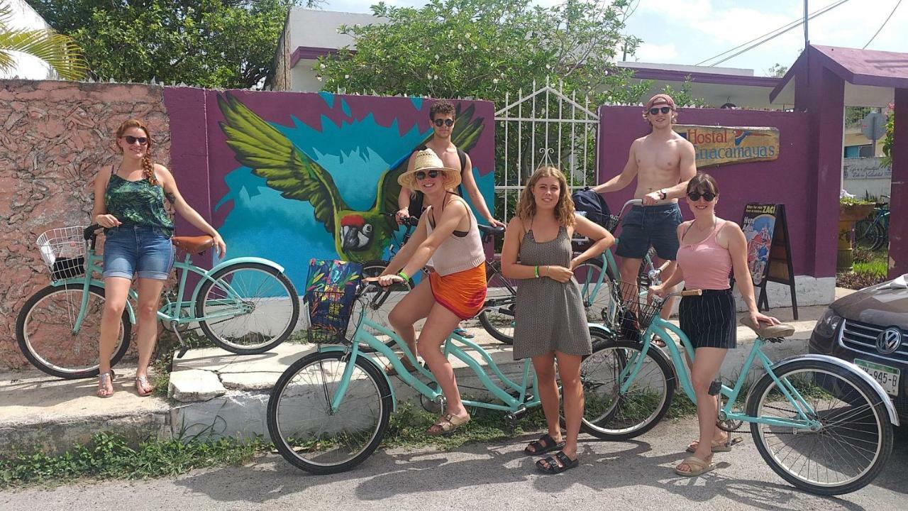 Hostel 35 Вальядолид Экстерьер фото